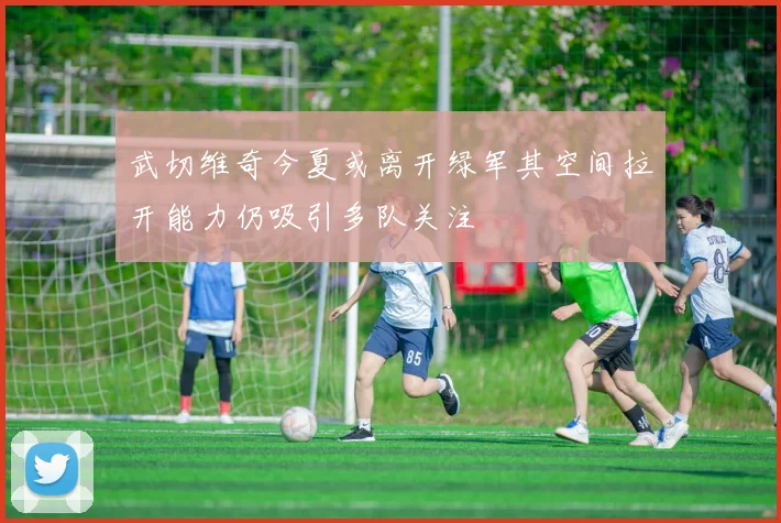 武切维奇今夏或离开绿军其空间拉开能力仍吸引多队关注