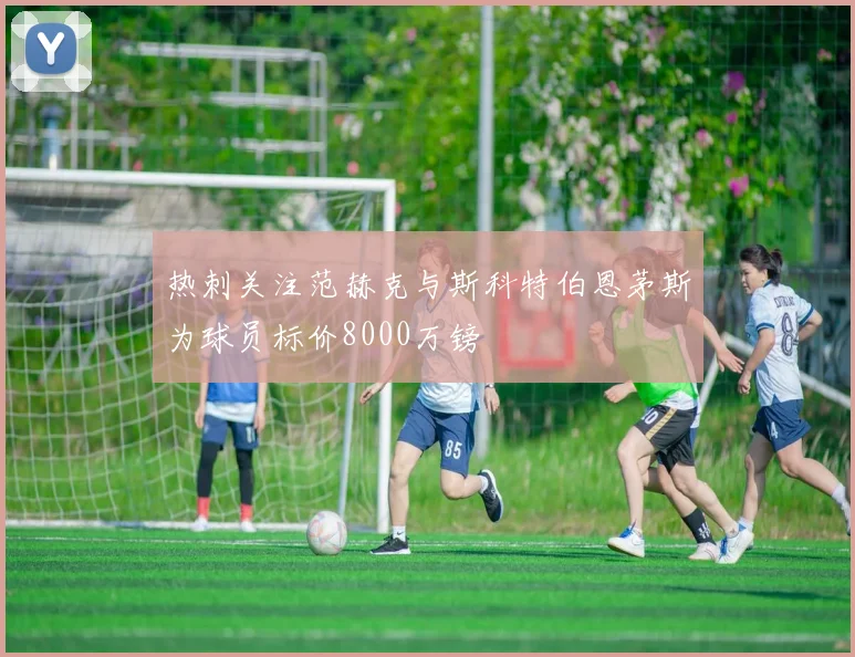 热刺关注范赫克与斯科特伯恩茅斯为球员标价8000万镑